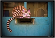le chat et la boite aux lettres